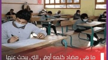 ما مضاد كلمة اوفي؟ .. أساتذة اللغة العربية للصف الأول الثانوي تحسم الجدل