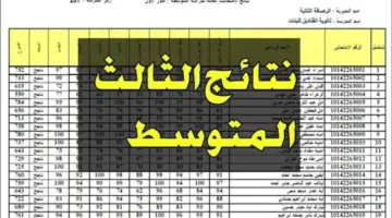 درايف PDF .. رابط الاستعلام عن نتائج الثالث متوسط بغداد 2024 الدور الاول عبر نتائجنا moedu.gov.iq