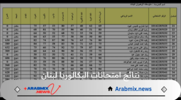 وزارة التربية تعلن عن موعد ظهور نتائج امتحانات البكالوريا لبنان 2024 ورابط الإستعلام