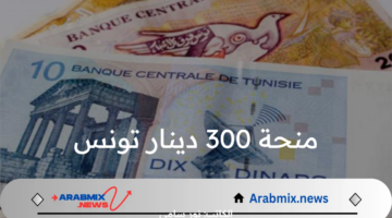 ما هي خطوات التسجيل في منحة 300 دينار تونس 2024 عبر موقع وزارة الشؤون الإجتماعية؟