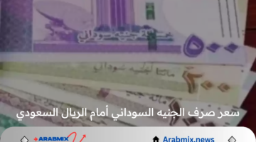 كم سعر صرف الجنيه السوداني أمام الريال السعودي اليوم الأحد 18 أغسطس 2024؟