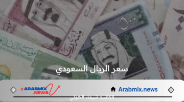 كم سعر الريال السعودي اليوم الأحد 18 أغسطس في البنك المركزي المصري؟