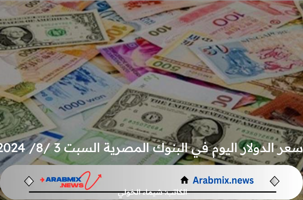 استقرار ملحوظ .. سعر الدولار اليوم في البنوك المصرية السبت 3/ 8 /2024