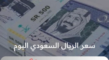 ما هو سعر الريال السعودي اليوم الثلاثاء 13 أغسطس 2024 في البنوك المصرية؟